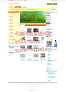 轉運系統(tǒng)企業(yè)完整設計與網(wǎng)頁制作價格及型號規(guī)格詳解